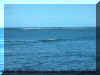 Atlantic Meets Caribbean.jpg (1186786 bytes)
