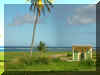 DSCN1017.JPG (982010 bytes)