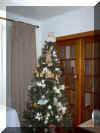 Frankies Tree.jpg (143258 bytes)