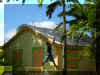 Getting Coconuts.JPG (1025798 bytes)