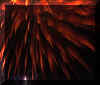 NYE2006four.jpg (826628 bytes)