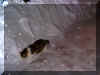 PICT0033.JPG (485282 bytes)
