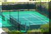TennisIII.jpg (688276 bytes)
