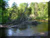 CBfishing4.jpg (2008197 bytes)