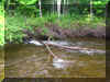 CBfishing8.jpg (1434151 bytes)