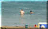 daytrip17.jpg (636535 bytes)