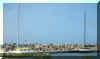 Catamaran1.jpg (669487 bytes)