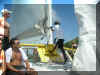 Catamaran21.jpg (839333 bytes)