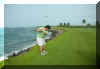 GolfJulyeight.jpg (714235 bytes)