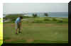 GolfJulyseven.jpg (1003837 bytes)