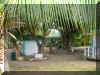 OualieBeachnine.jpg (1846332 bytes)