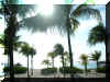 ClubMed2.JPG (209289 bytes)