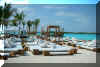 NikkiBeachMay5.jpg (184439 bytes)