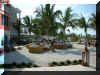 NikkiBeachMay6.jpg (256173 bytes)