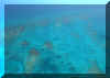 turks and caicos from air.jpg (47697 bytes)