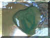 Clear Pool.JPG (83096 bytes)
