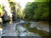 Stream Color.JPG (94556 bytes)